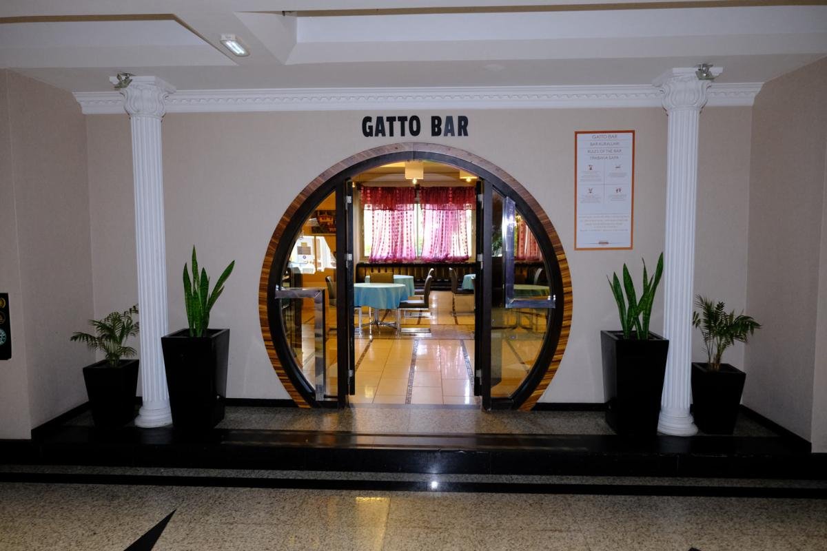 Gatto Bar
