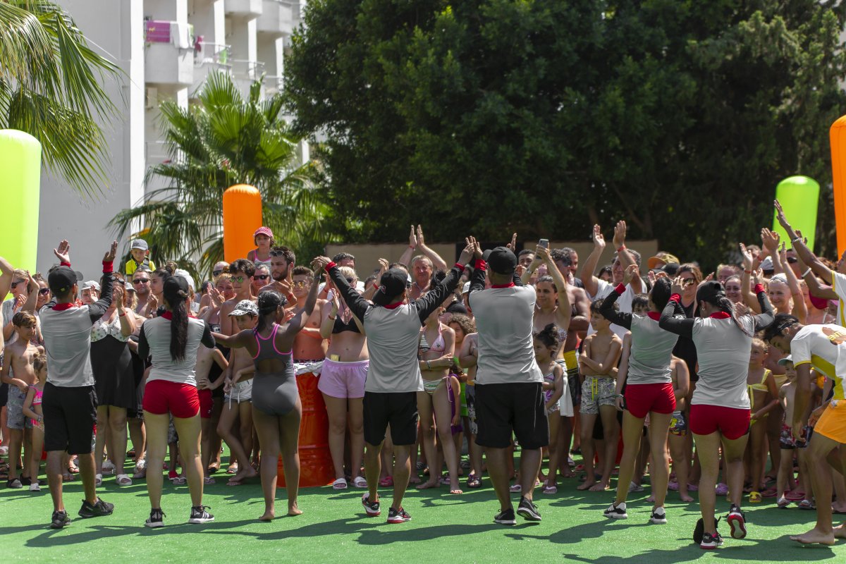 Gündüz Aktiviteleri