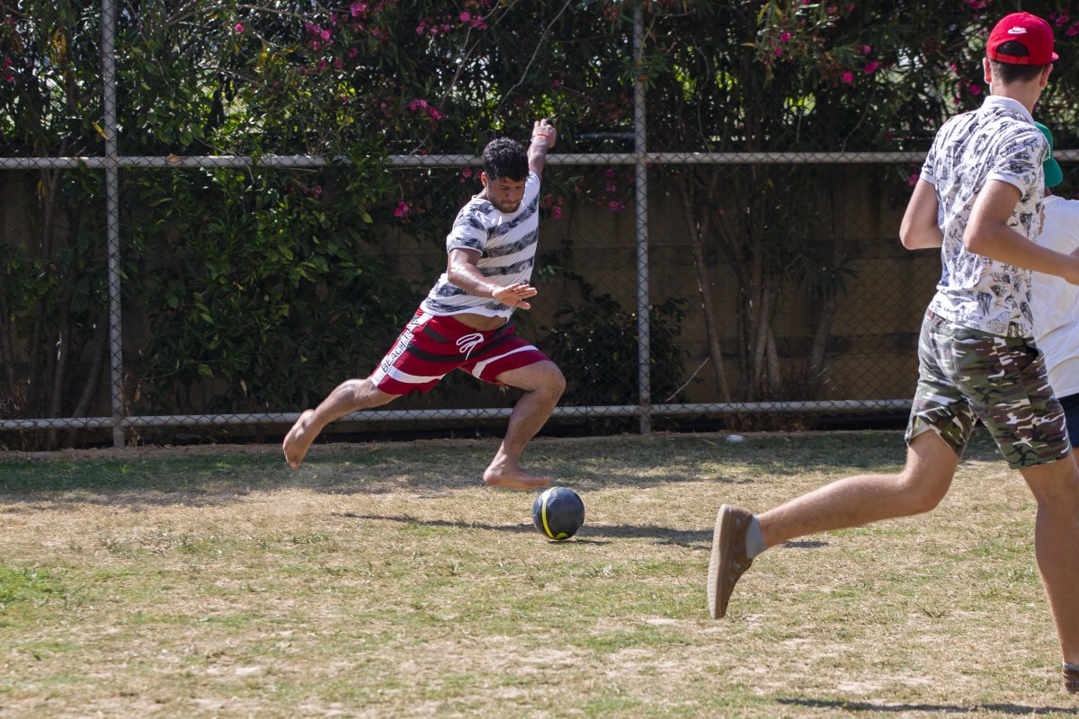 Gündüz Aktiviteleri