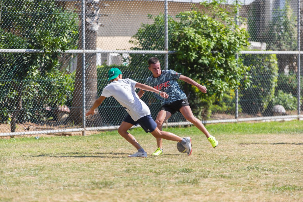 Gündüz Aktiviteleri