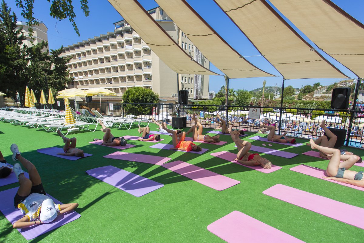 Gündüz Aktiviteleri