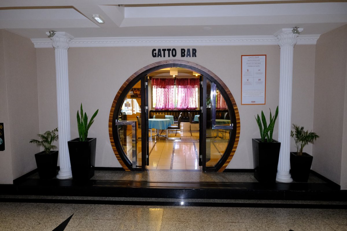 Gatto Bar